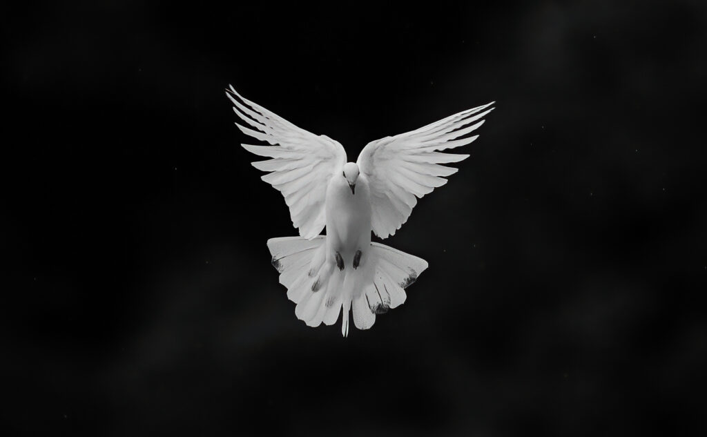 white pigeon 2026 01 15 17 33 21 utc